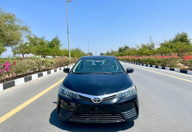 2019 Toyota Corolla 